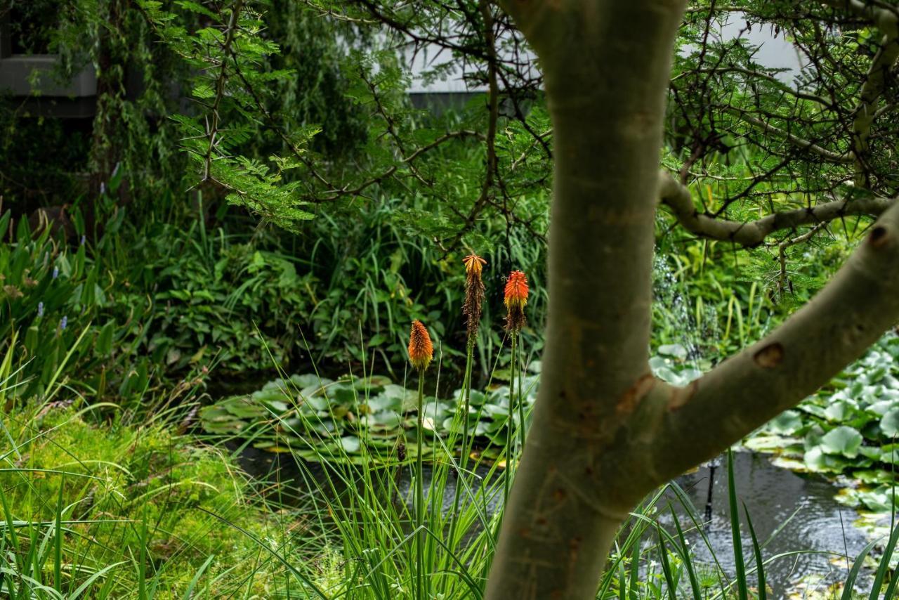 Seven Villa Hotel & Spa Johannesburg Eksteriør bilde The pond at the entrance to the house